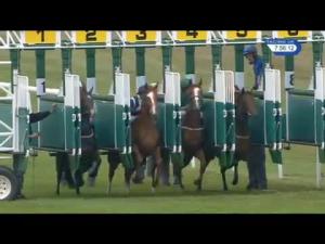 Video preview image for Newmarket 19:55 - Fly London Southend Airport To Budapest ebfstallions.com Fillies' Conditions Stakes (Plus 10)