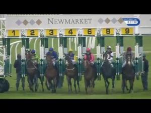 Video preview image for Newmarket 20:30 - Fly London Southend Airport To Dubrovnik Handicap