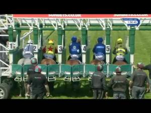 Video preview image for York 13:55 - Sun Bets Download The App Novice Stakes (Plus 10)