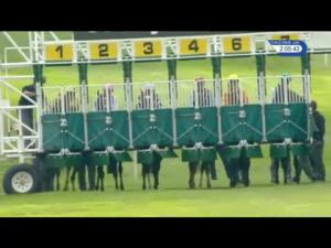 Video preview image for Newmarket 14:05 - Betway Fred Archer Stakes (Listed)