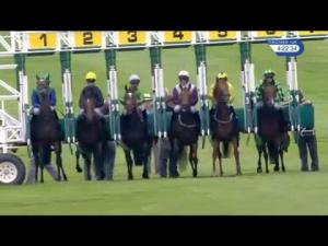 Video preview image for Newmarket 16:20 - Betway Fillies' Handicap
