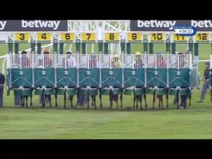 Video preview image for Newmarket 16:55 - Betway Handicap