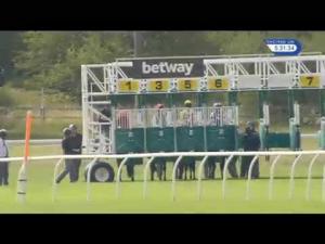 Video preview image for Newmarket 17:30 - Betway EBF Stallions Fillies' Handicap