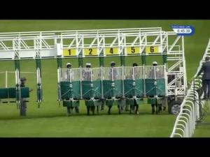 Video preview image for Hamilton Park 18:45 - racinguk.com Novice Stakes (Plus 10)