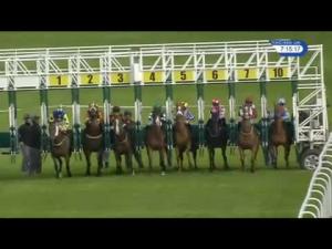 Video preview image for Hamilton Park 19:15 - hamilton-park.co.uk Handicap