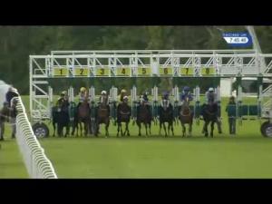 Video preview image for Hamilton Park 19:45 - Chatelherault Handicap