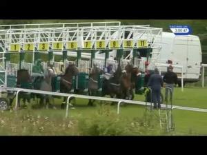 Video preview image for Hamilton Park 15:00 - racinguk.com Maiden Stakes