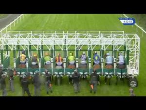 Video preview image for Hamilton Park 16:30 - racinguk.com Handicap