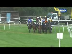 Video preview image for Stratford-on-Avon 19:50 - Wheaton Lamb & Burrows Handicap Hurdle