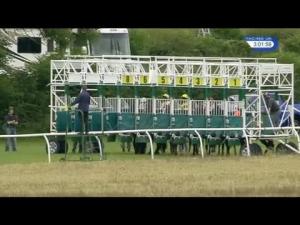 Video preview image for Thirsk 15:00 - Racing UK Day Pass Just 10 Selling Stakes
