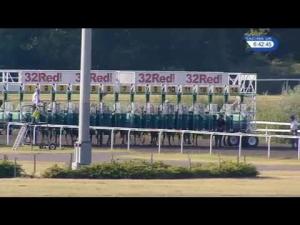 Video preview image for Kempton Park 18:40 - British Stallion Studs EBF Fillies' Novice Stakes (Plus 10)