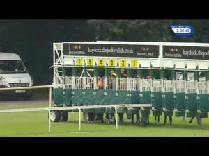 Video preview image for Haydock Park 14:00 - Stay On Fire On Level Fillies' Handicap