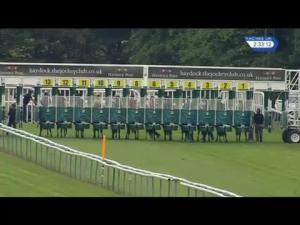 Video preview image for Haydock Park 14:30 - Pilkington Glass EBF Stallions Novice Stakes (Plus 10)