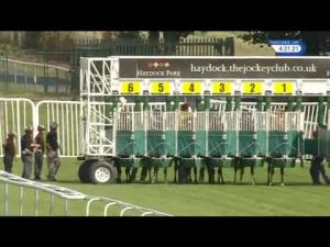 Video preview image for Haydock Park 16:30 - Distinction Doors Ground Breaking Nxt-Gen Handicap