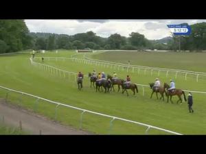 Video preview image for Perth 17:15 - Todd's Knowe Standard Open National Hunt Flat (5)