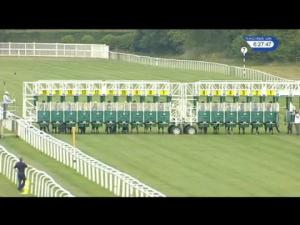 Video preview image for Newbury 18:25 - Cornish Orchards EBF Fillies' Novice Stakes (Plus 10)
