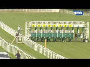Video preview image for Newbury 19:00 - Fuller's London Pride Novice Stakes (Plus 10)