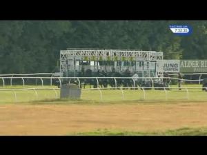 Video preview image for Newbury 19:30 - Lillemor Penser Silver Bar Handicap