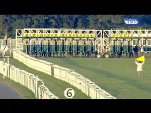 Video preview image for Newbury 20:35 - Oliver's Island Handicap (Str)