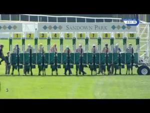 Video preview image for Sandown Park 14:50 - Longines Irish Champions Weekend EBF Novice Stakes (Plus 10)