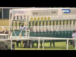 Video preview image for Sandown Park 16:00 - Besso Handicap