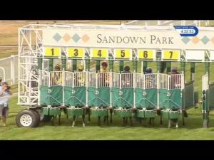 Video preview image for Sandown Park 16:30 - Niit Technologies Handicap