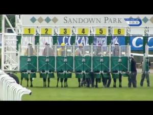 Video preview image for Sandown Park 17:05 - Cna Hardy Handicap (Lady Amateur Riders)