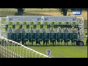 Video preview image for Beverley 13:40 - Industrial Racking Supplies Ltd Novice Auction Stakes