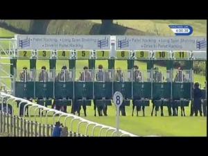Video preview image for Beverley 16:00 - Drive In Pallet Racking Handicap