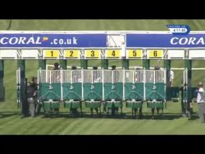 Video preview image for Sandown Park 16:10 - Coral Marathon (Registered As The Esher Stakes) (Listed)