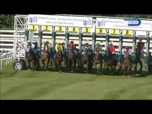 Video preview image for Beverley 17:45 - Long Span Shelving Maiden Stakes