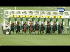Video preview image for Nottingham 19:10 - Genting Casino At The Cornerhouse Handicap