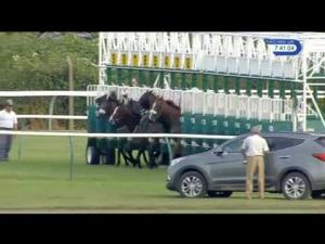 Video preview image for Nottingham 19:40 - Dick & Lin: The First 10 Years Handicap