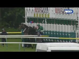 Video preview image for Ayr 13:40 - Bet Toteplacepot At betfred.com Longines Irish Champions EBF Maiden Stakes