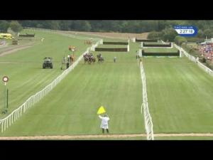 Video preview image for Market Rasen 14:25 - Don Noble Novices' Hurdle