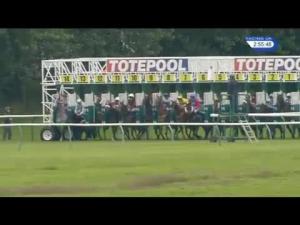 Video preview image for Ayr 14:45 - Bet Totequadpot At betfred.com Handicap (Div 1)