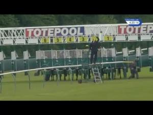 Video preview image for Ayr 16:20 - Totepool Racecourse Debit Card Betting Available Handicap