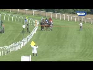 Video preview image for Market Rasen 16:35 - Don Noble Handicap Hurdle