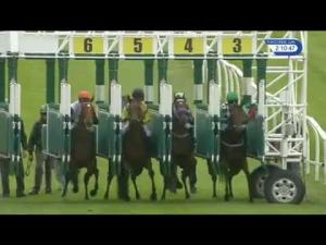 Video preview image for Catterick Bridge 14:10 - Dine and View Median Auction Maiden Stakes