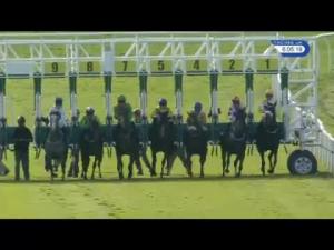 Video preview image for Catterick Bridge 18:05 - Racing Again 19th July Handicap