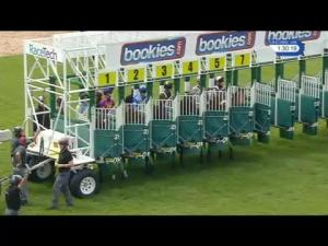Video preview image for Carlisle 13:30 - British Stallion Studs EBF Maiden Stakes
