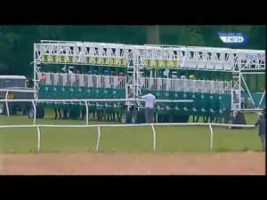 Video preview image for Newbury 19:35 - Alder Ridge Vineyard Maiden Stakes