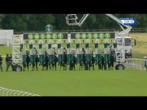 Video preview image for York 14:05 - Irish EBF/roa Racing Post Owners Jackpot Novice Stakes (Plus 10)