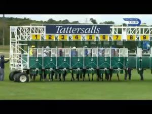 Video preview image for Newmarket 15:35 - Tattersalls Falmouth Stakes (Fillies' Group 1) (British Champions Series)
