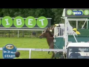 Video preview image for York 15:45 - Cakemark Handicap