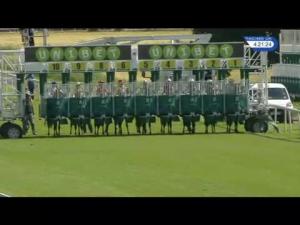 Video preview image for York 16:20 - Garbutt + Elliott Nursery