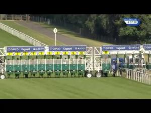 Video preview image for Ascot 16:35 - Long Harbour Derek Lucie-Smith Memorial Handicap