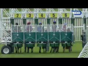 Video preview image for Musselburgh 20:35 - Finest Collection Of Racing On Racing UK Handicap