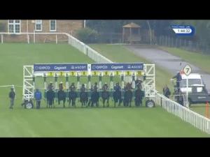 Video preview image for Ascot 13:40 - Ruddy Novice Auction Stakes (Plus 10) (Div 1)