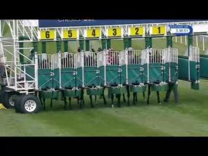 Video preview image for Chester 15:35 - Manor Car Hire Handicap